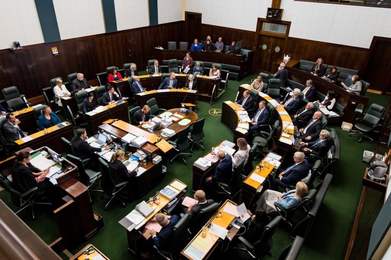 Documents tabled in parliament describe a 200 to 300-megawatt data centre. Image / Pulse