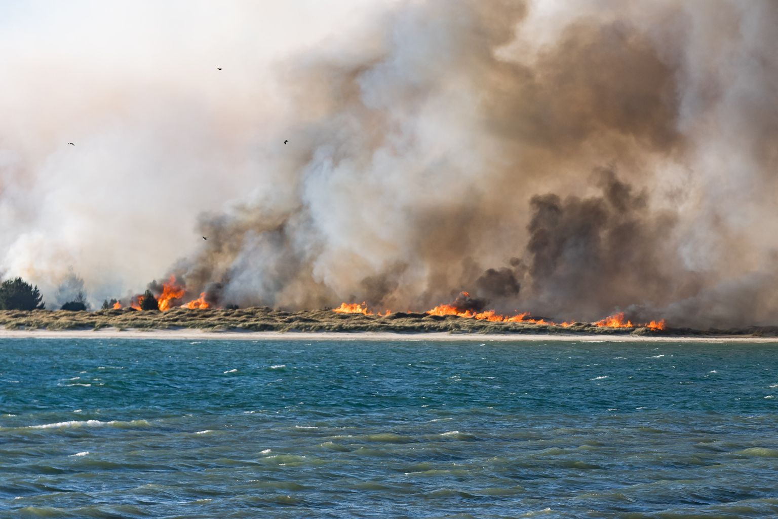 Towns facing ember attacks as strong winds fuel bushfire at Seven Mile ...